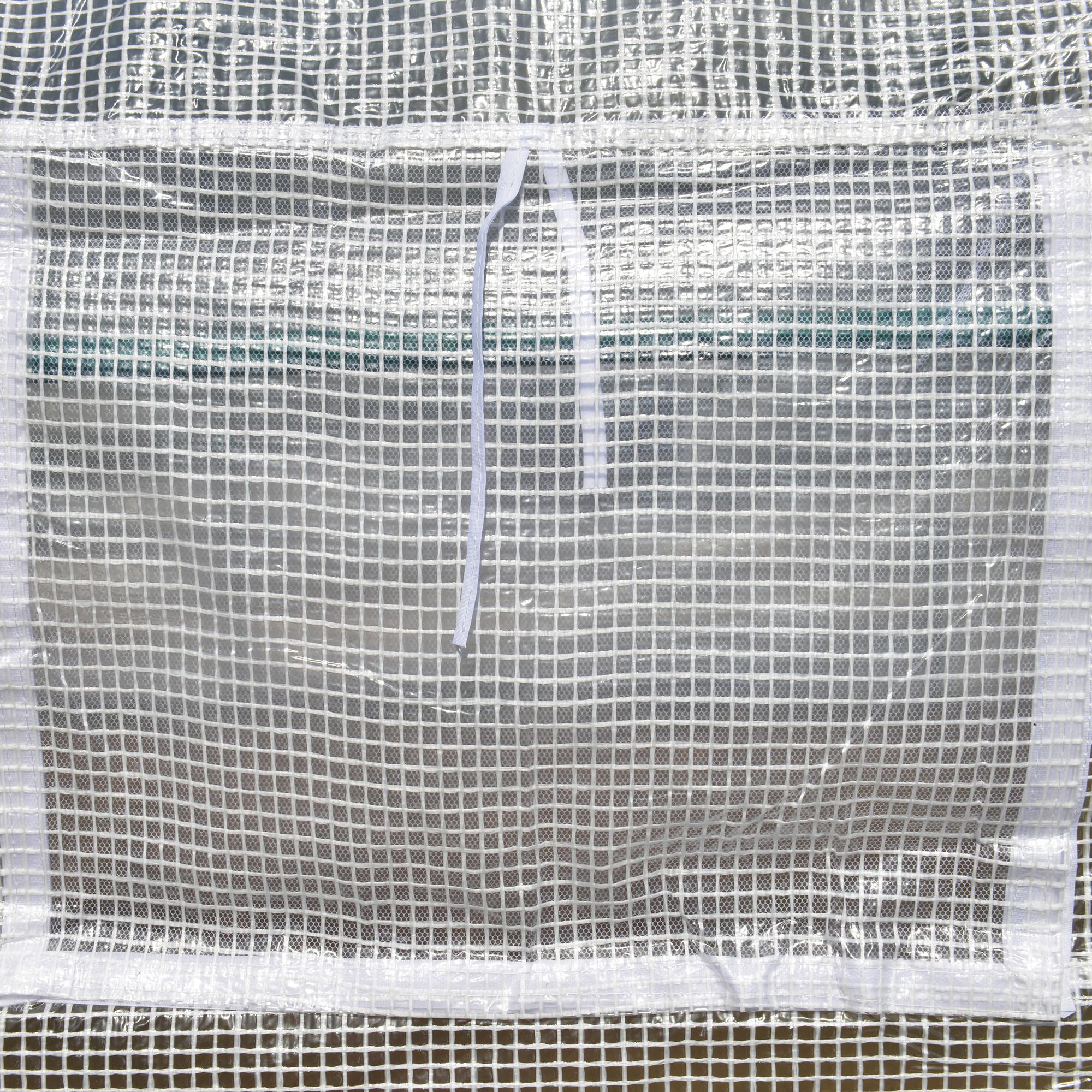 Vegetable Greenhouse 6x3x2m with 8 Windows and Roller Door, in Steel and PP, Green - Borgè