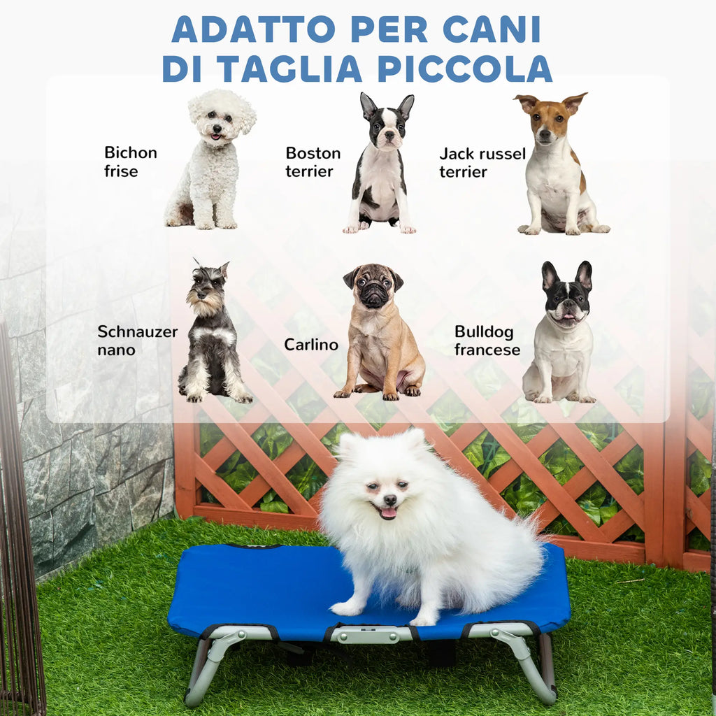 Raised and Foldable Dog Bed for Indoor and Outdoor Use, 59x46x15 cm, Blue - Borge' Group Limited
