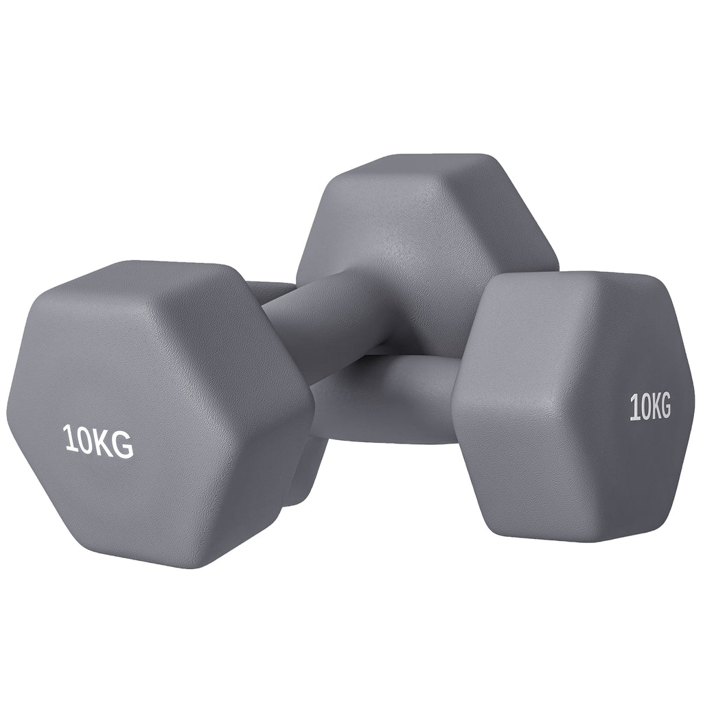 SPORTNOW Set of 2 Hexagonal Dumbbells weighing 2x10 kg in Metal and Plastic with Non-Slip Grip, 26x12x12 cm, Gray