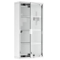 Medicine Cabinet Medicine Box with Four Shelves in Stainless Steel 30 x 12 x 60cm