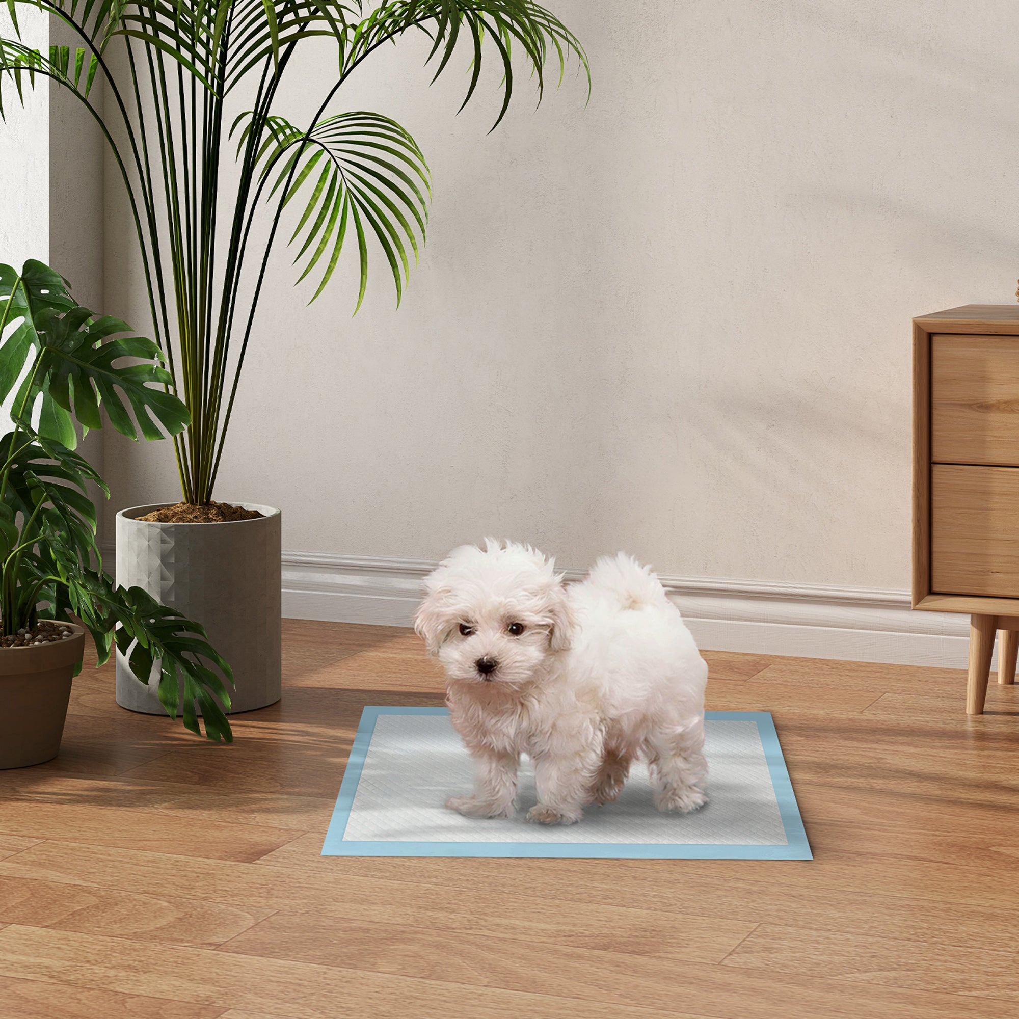 Set of 100 6-Layer Non-Woven, Paper, and PE Dog Toilet Pads, 45x30 cm, Blue and White