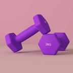 SPORTNOW Set of 2 Dumbbells 2x2 kg Hexagonal and Non-slip for Home and Gym, in Metal and Plastic, 16x7.5x7.5 cm, Purple