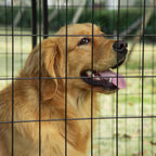 Foldable Dog Playpen with Cover, 8 Panels with Lockable Door, 141x141x113cm, Black