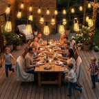 HOMCOM Outdoor String Lights with 50 LED Lights IP44, in PET and Plastic, 1800x3.8x9 cm, Black and Transparent