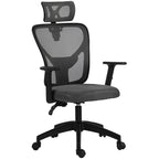 Ergonomic and Adjustable Office Chair with Lumbar Support and Headrest, 66x61x106-116 cm, Grey