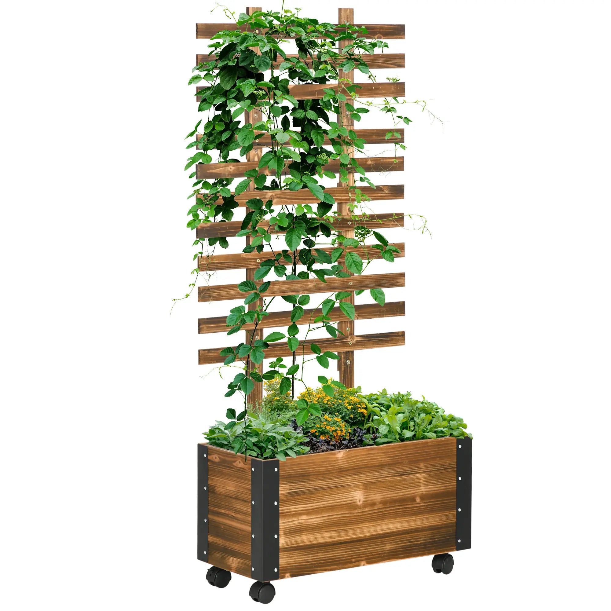 Planter with Trellis for Climbing Plants and Wheels, in Fir Wood, 65x31x147 cm, Brown