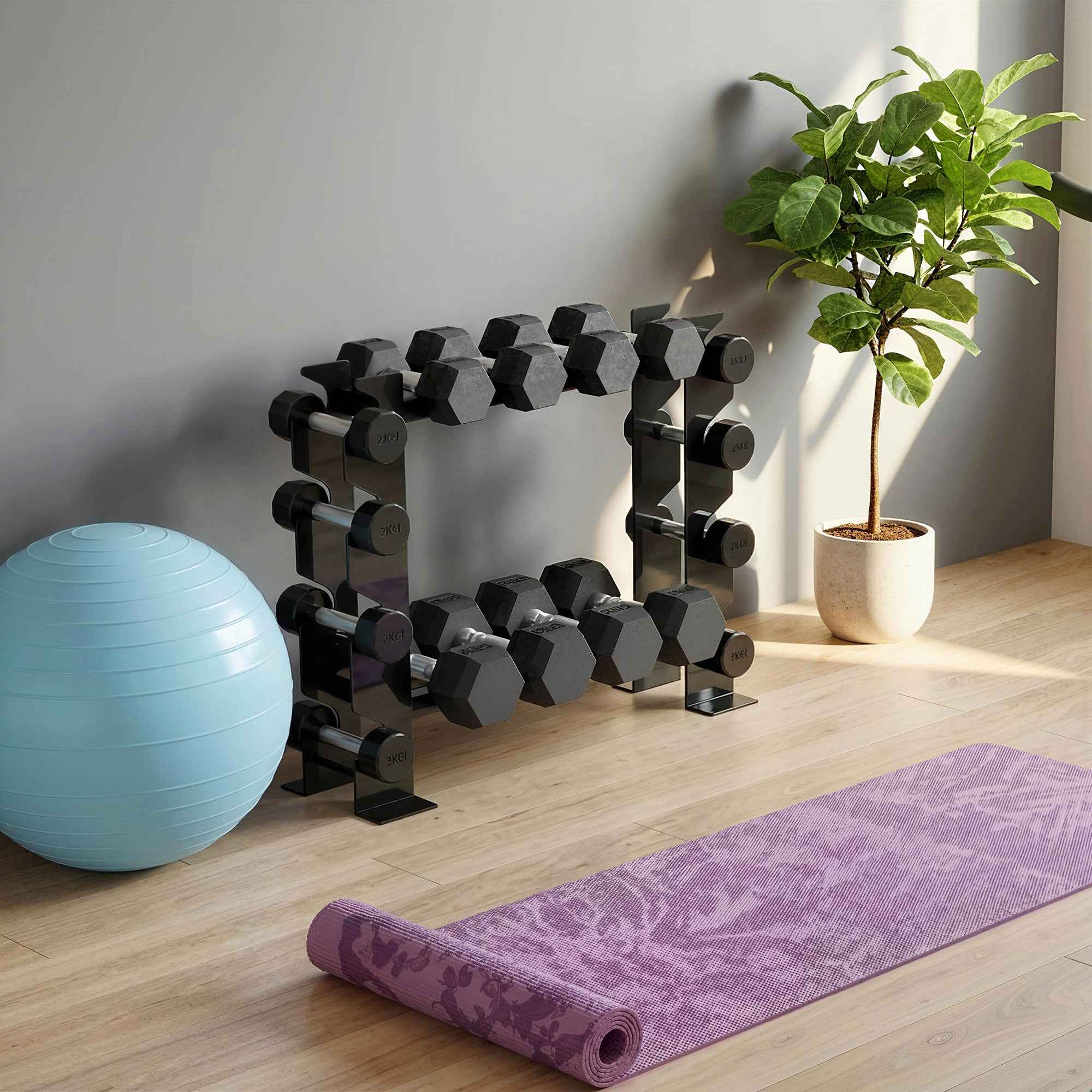 SPORTNOW 4-Tier Weight Rack and Dumbbell Rack, 200kg Load, Black