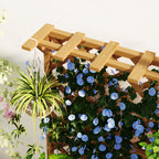 Raised Garden Bed with Trellis for Climbing Plants and Upper Pergola, 64x33x122 cm, Wood