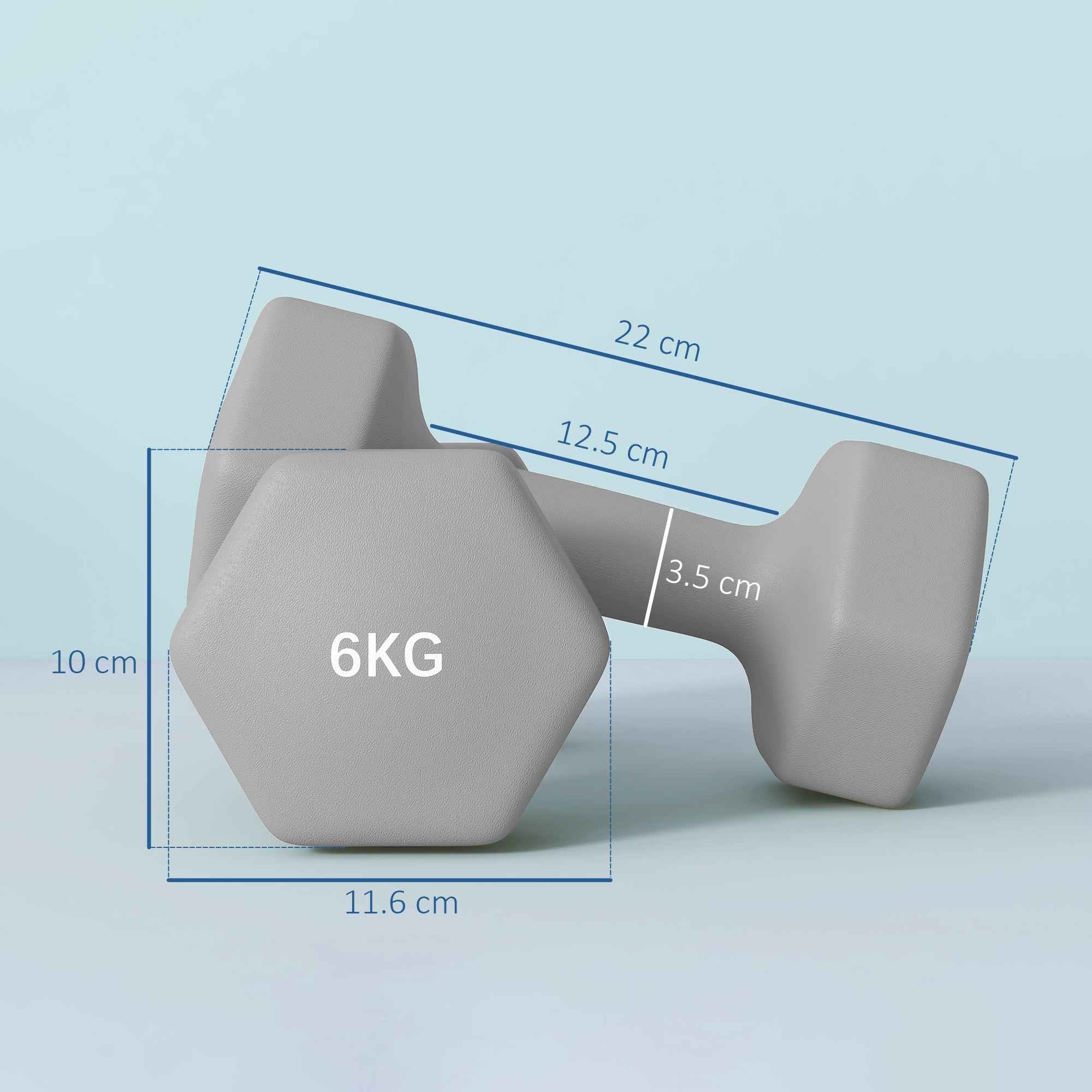 SPORTNOW Set of 2 Hex Dumbbells, 2x6 kg, Metal and Plastic, with Non-Slip Grip, 22x10x10 cm, Grey