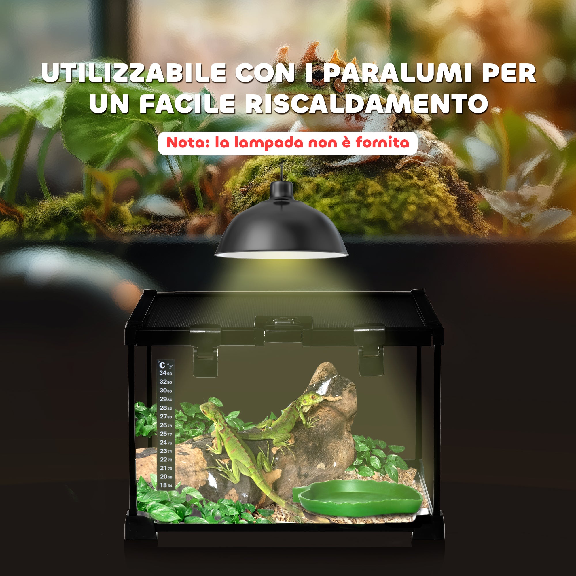 Raised Terrarium for Reptiles with Lock and Thermometer, in Glass and Metal Mesh, 30x30x20 cm, Black