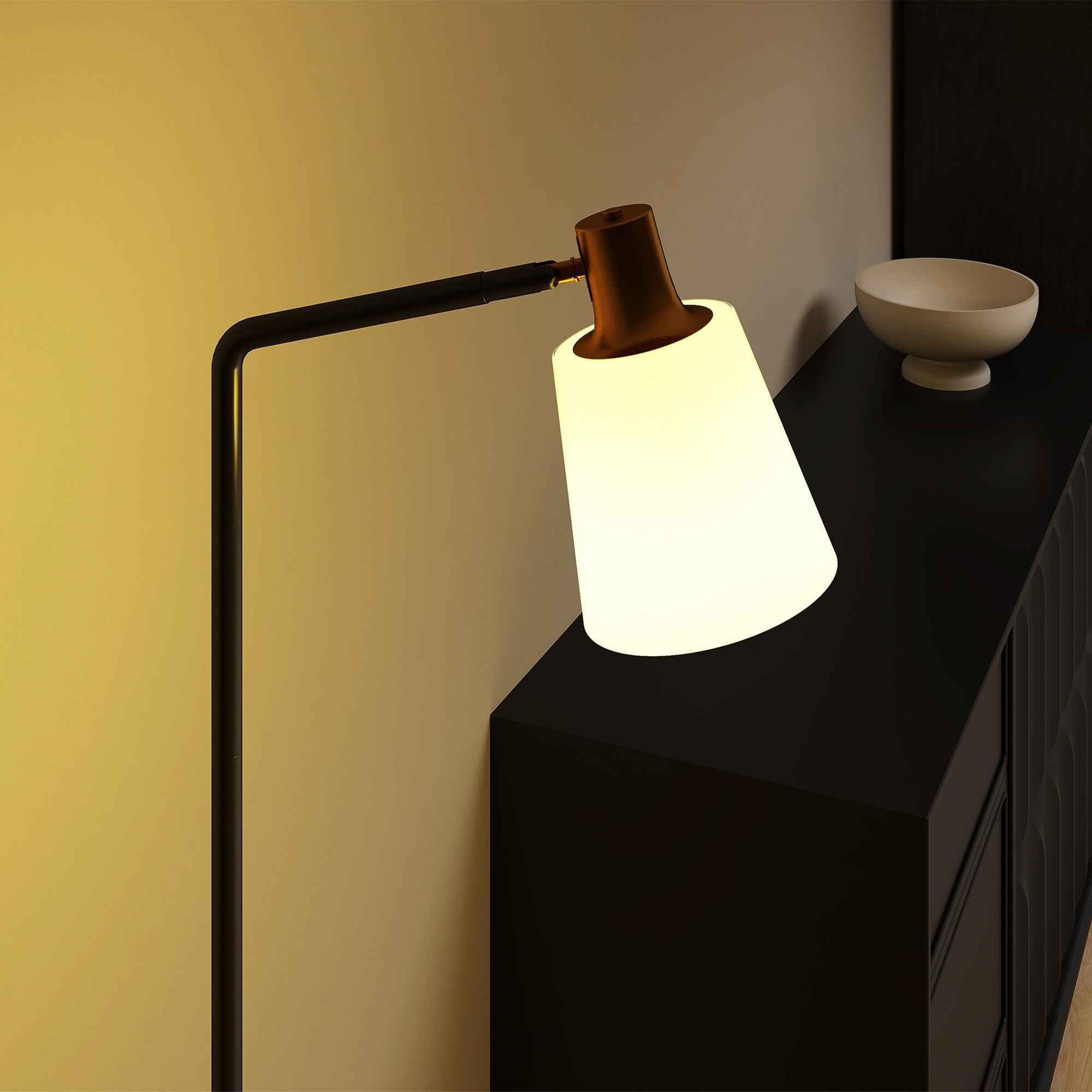HOMCOM LED Floor Lamp with 350° Swivel Head, 3000K/4000K/6500K Color Temperature Adjustment, Black