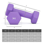 SPORTNOW Set of 6 Dumbbell Weights (2x1 kg, 2x2 kg, 2x3 kg) of 12 kg with Stand/Kettlebell, in Metal and PP Pink, Blue and Purple