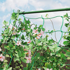 A-shaped Tomato Support with Adjustable Levels with Net, in Steel, PE and PP, 101x133x227 cm, Green