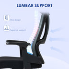 Office Chair with Lumbar Support and Headrest, Swivel Seat with Adjustable Height, Black