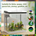13L Aquarium Pawhut from LED lighting with ventilation holes, in HD and ABS glass, 29L x 20p x 30.5a cm - Borgè