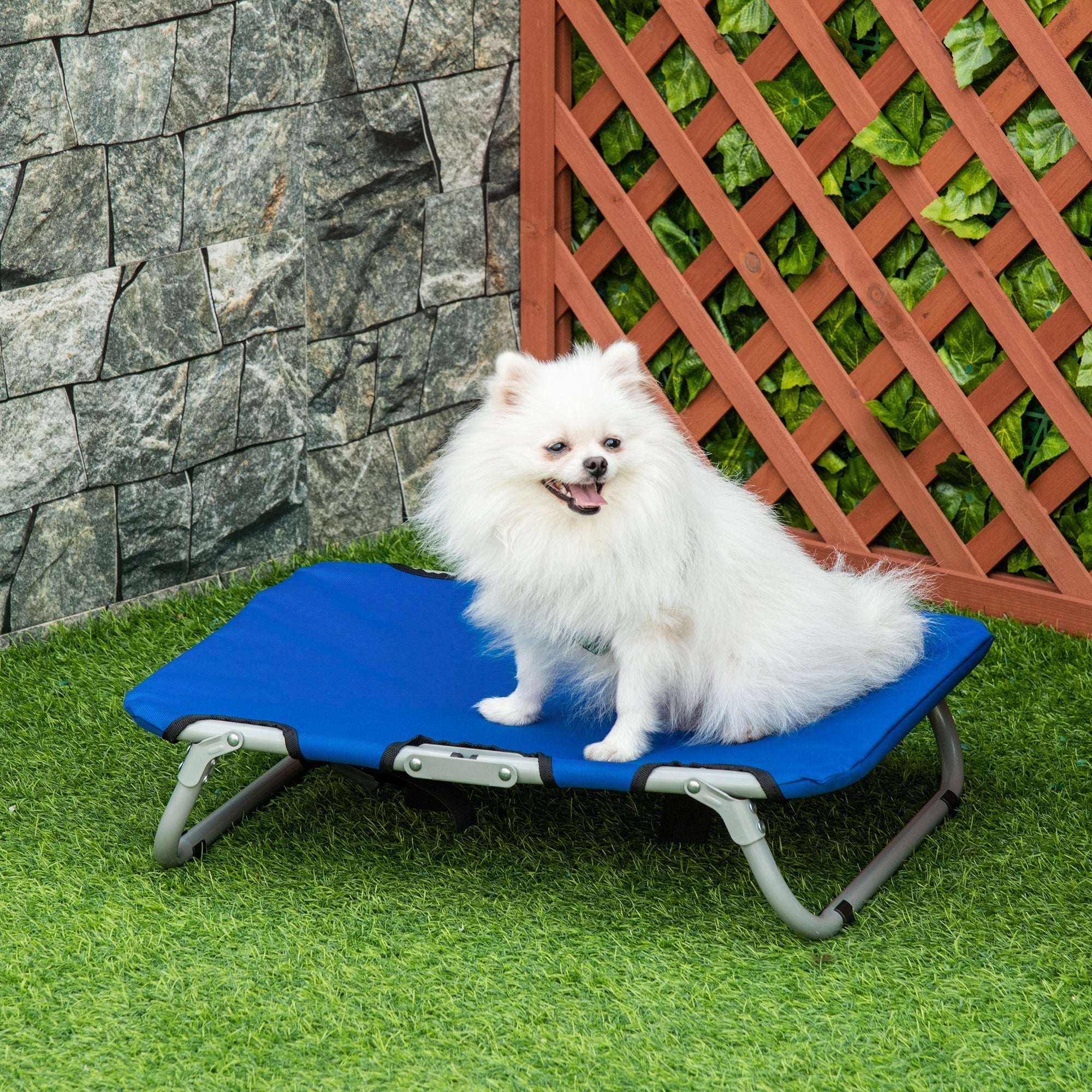 Raised and Foldable Dog Bed for Indoor and Outdoor Use, 59x46x15 cm, Blue - Borge' Group Limited