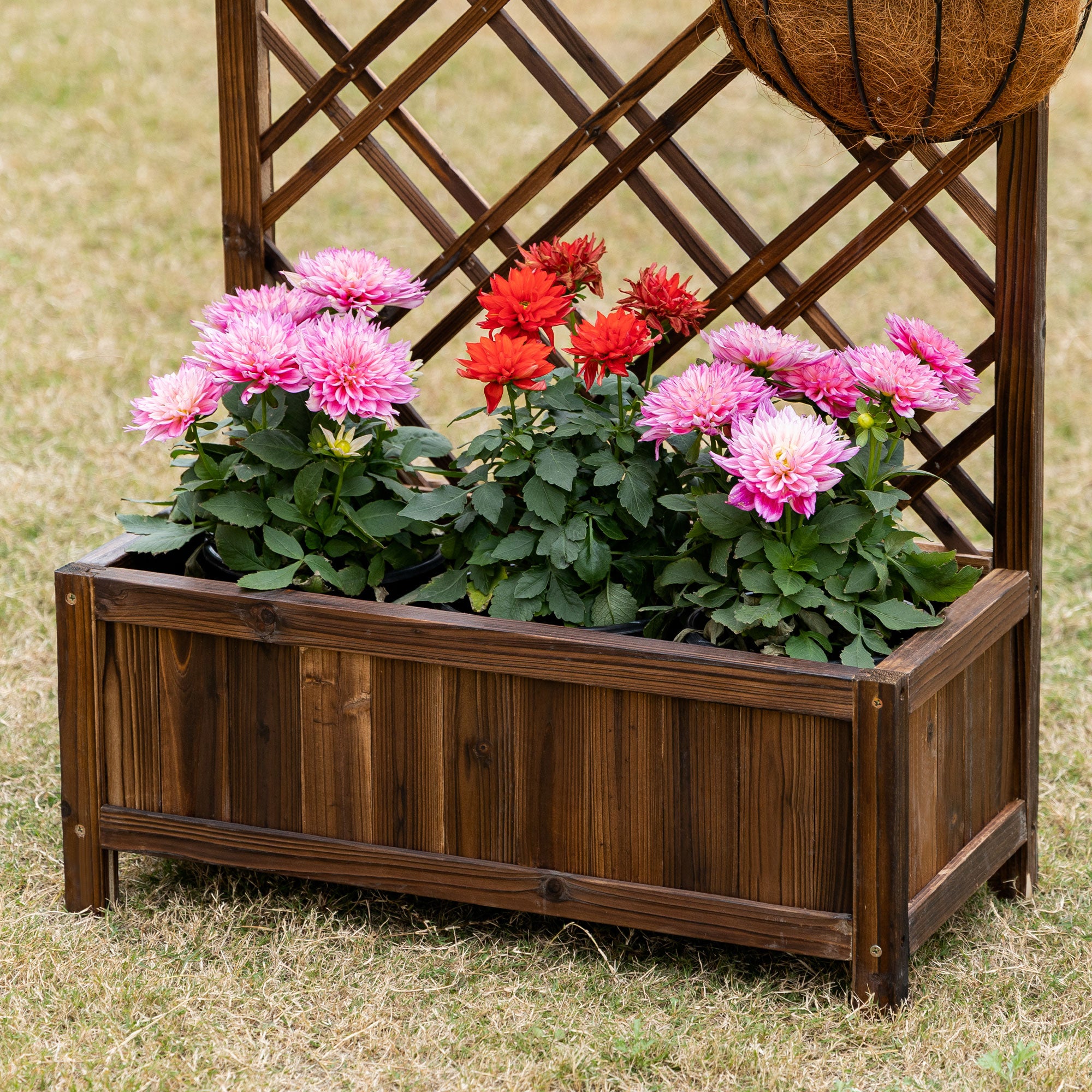 Outsunny Outdoor Fioriera with wooden grill for climbing plants, 60x30x122.5 cm, brown - Borgè