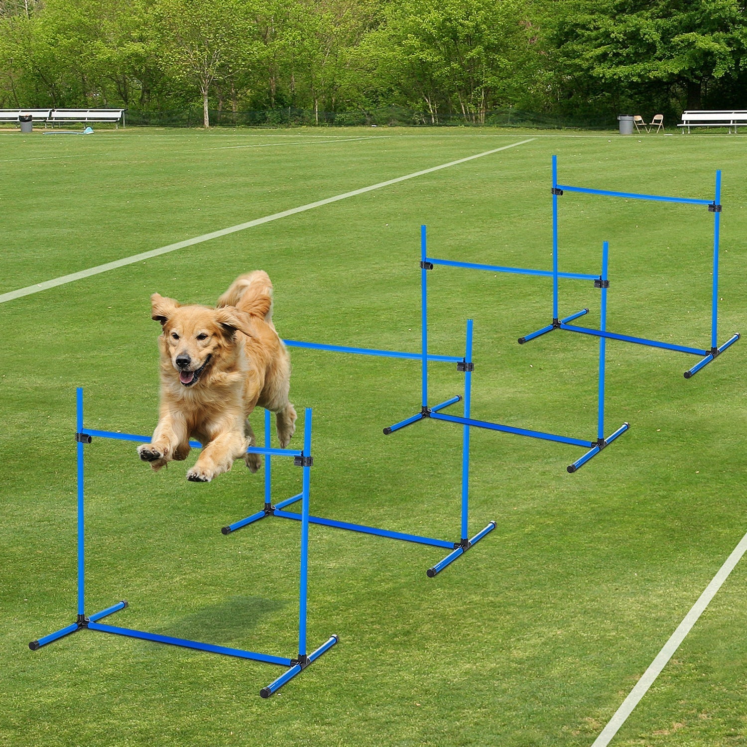 PAWHUT SET OF 4 OBSTACLES AGILITY DOG FOR DOG TRAINING AT ADVANTABLE HEIGHT WITH TRANSPORT BAG included, 99x65x94cm, Blue - Borgè