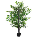 Banian Tree in a Pot 145cm - Borgè