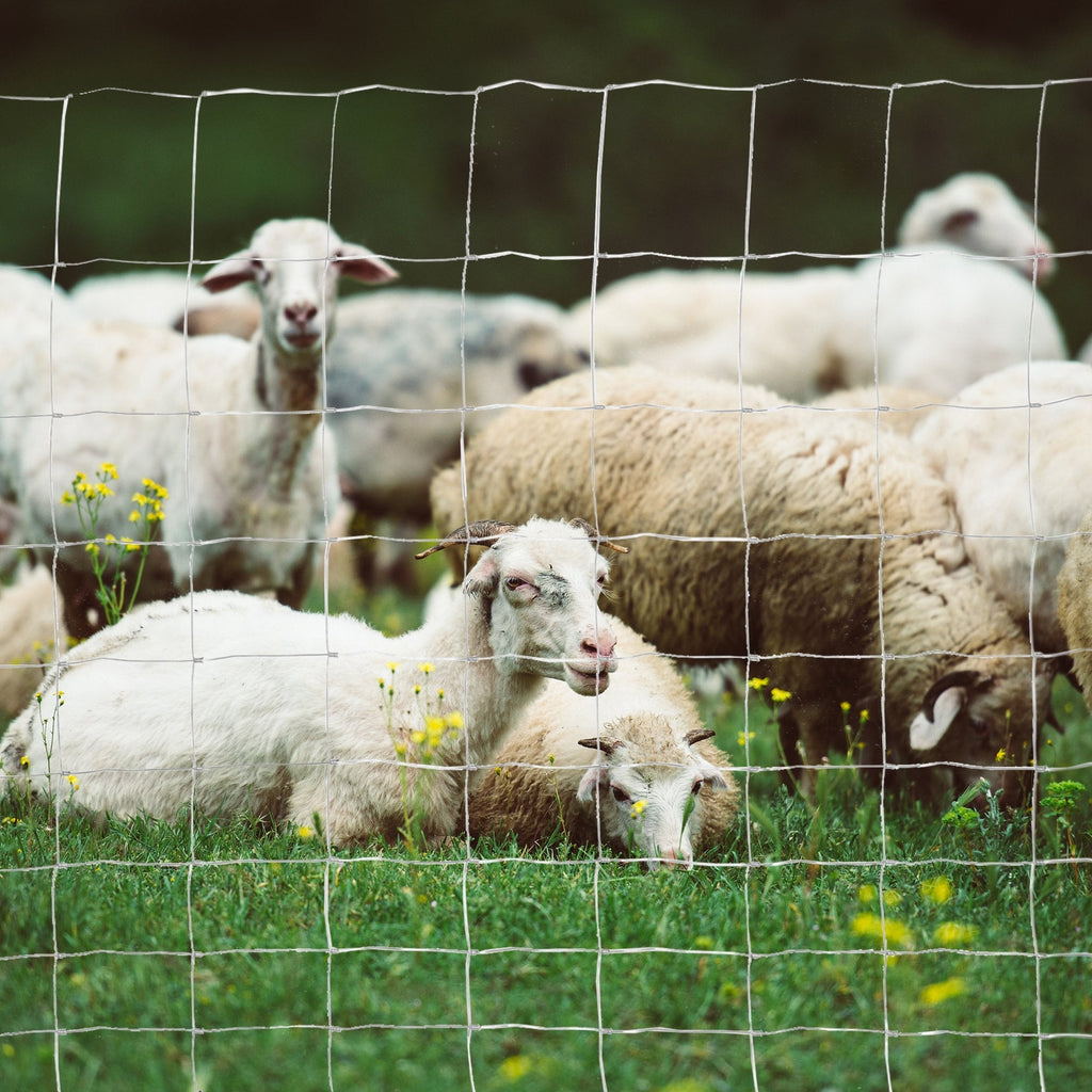 26.1m Roll of Galvanized Wire Fence Mesh, 1.2m Height, Silver - Borge' Group Limited