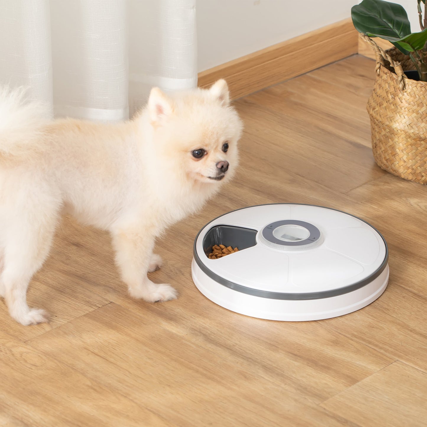 PAWHUT Automatic distributor food dogs and cats, 6 bowls bowls with timer and led displays battery, food dispenser for small animals with music - Borgè