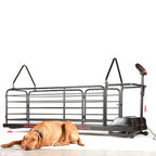 Treadmill for dogs | Dog Runner | Ortho Pro - Borgè