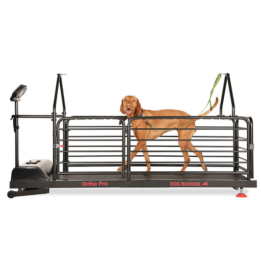 Treadmill for dogs | Dog Runner | Ortho Pro