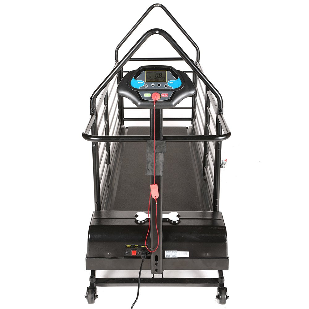 Treadmill for dogs | Dog Runner | Revolution Pro - Borgè