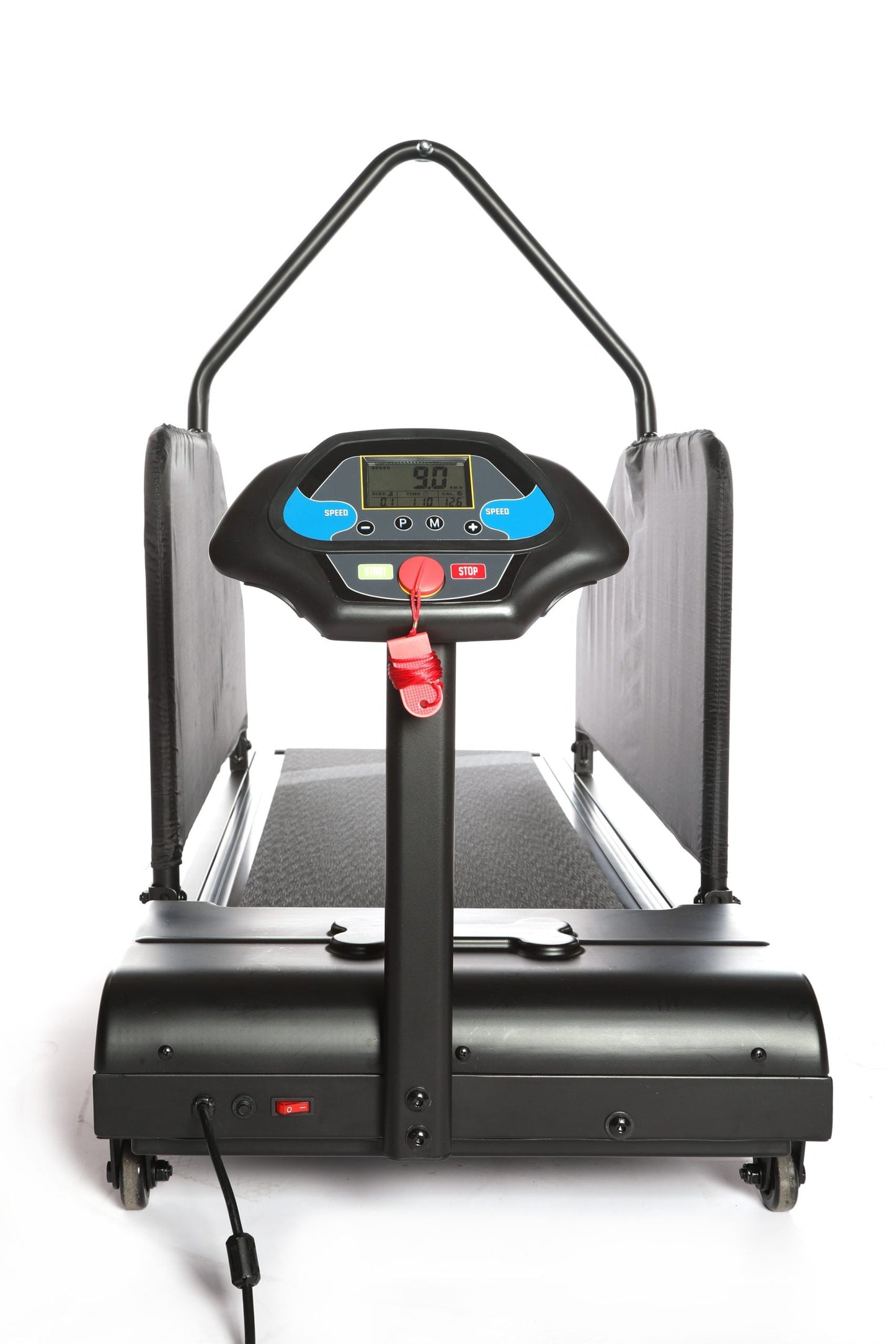 Treadmill for dogs | Dog Runner | Tracks - Borgè