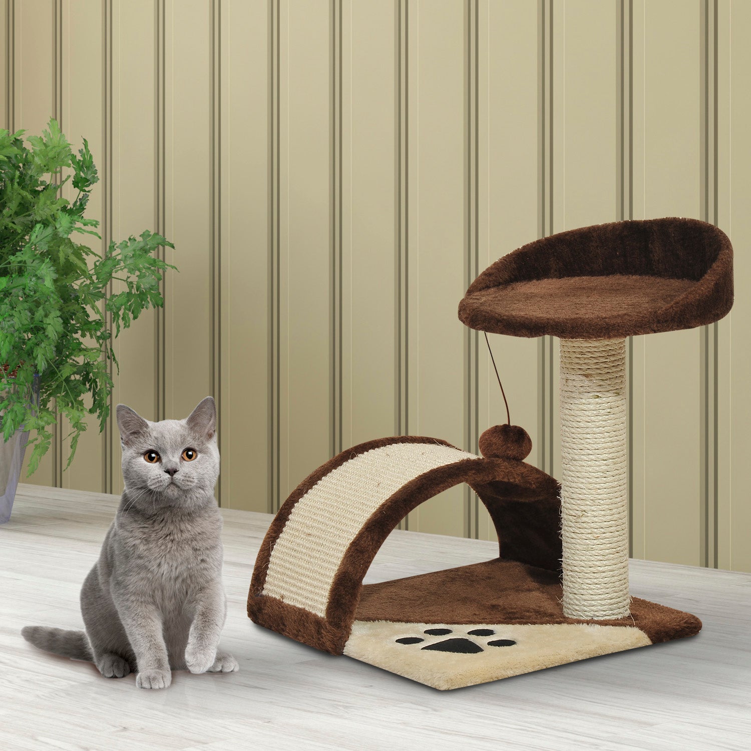 Brown Cat Tree for cats with Scratch Pole 36x36x44cm - Borgè