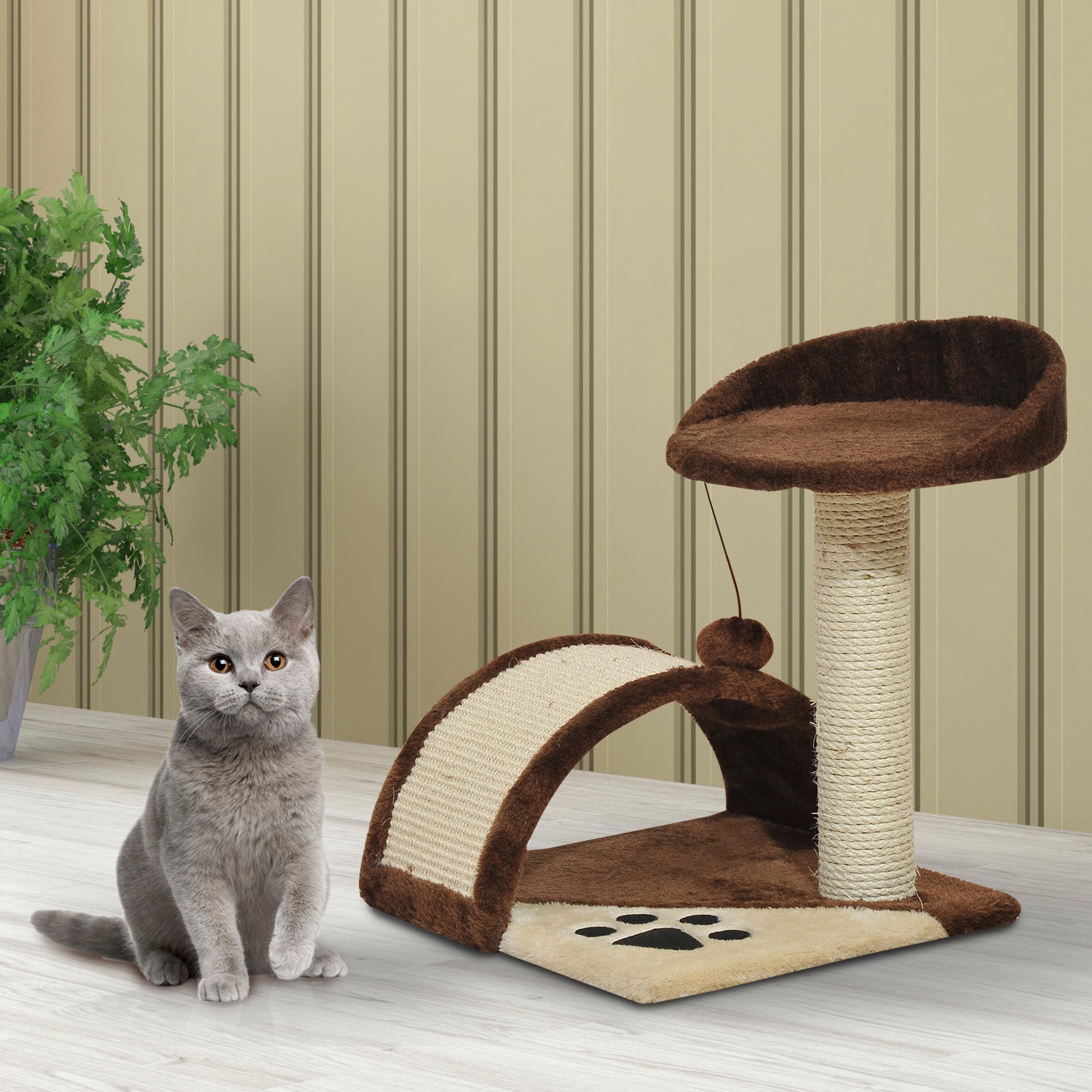 Brown Cat Tree for cats with Scratch Pole 36x36x44cm - Borge' Group Limited