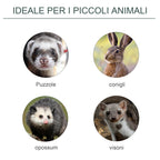 Rat, Mice and Nutria Trap Cage with Single Door, 60x18x20cm, Green - Borge' Group Limited