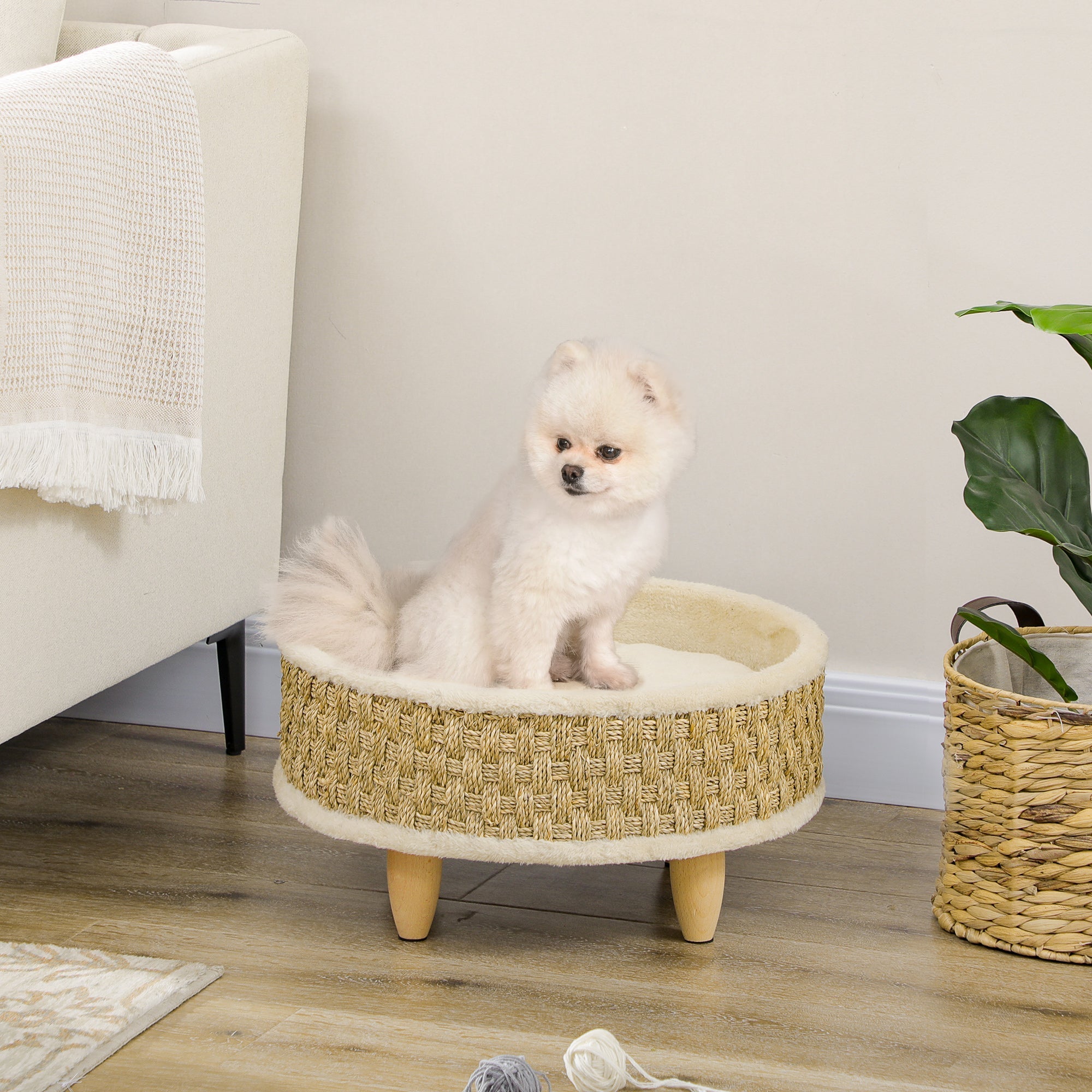 Bed for Small Dogs and Cats in Chipboard with Raised Bottom and Cushion, Ø48x24.5 cm - Borge' Group Limited