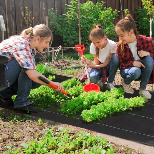 2x25m Mulch Sheet for Vegetable Garden, Greenhouse and Garden, Draining and Breathable, Black - Borge' Group Limited