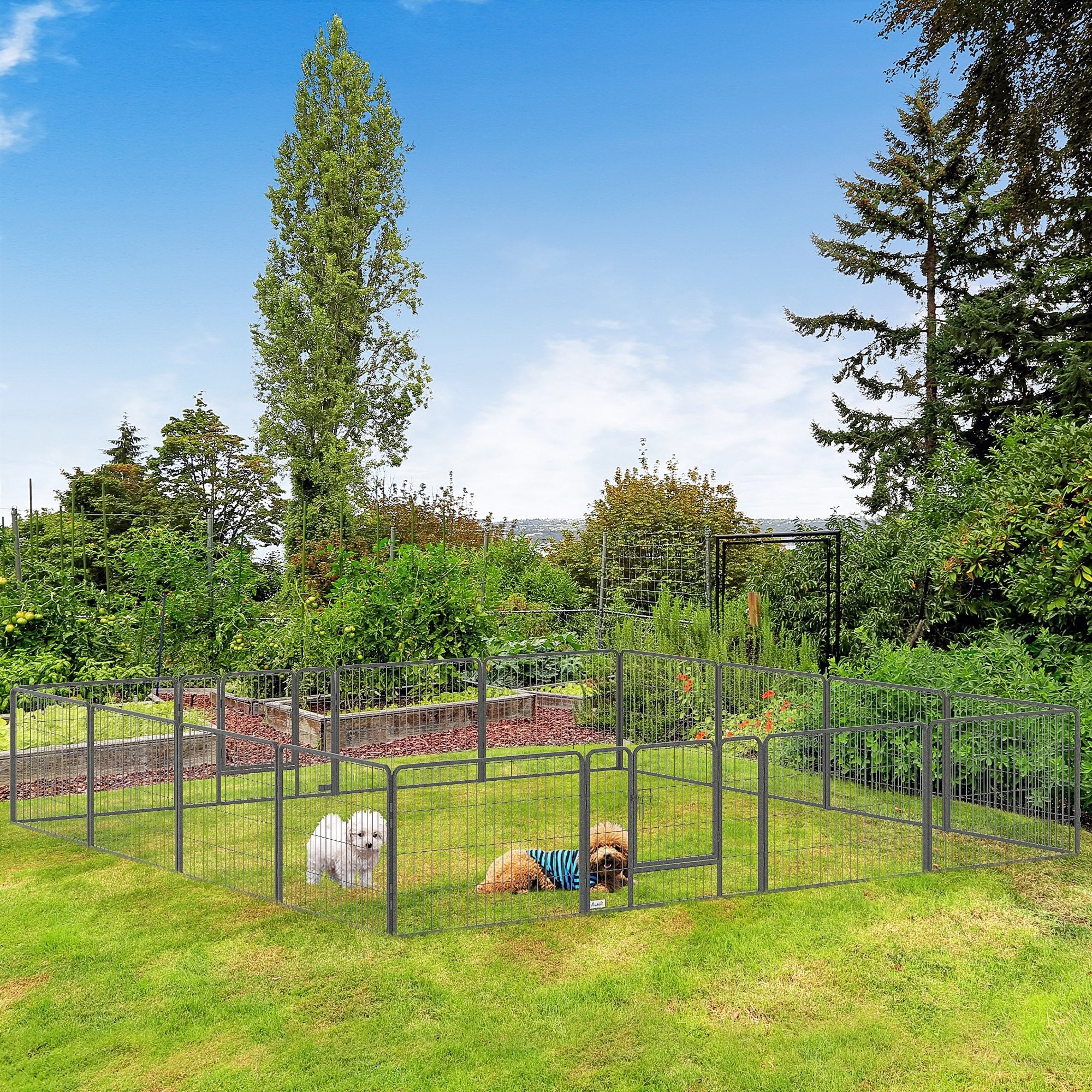 Pawhut fence for dogs and puppies with 16 modular panels and 2 inputs, 80x1.5x60cm - Borgè