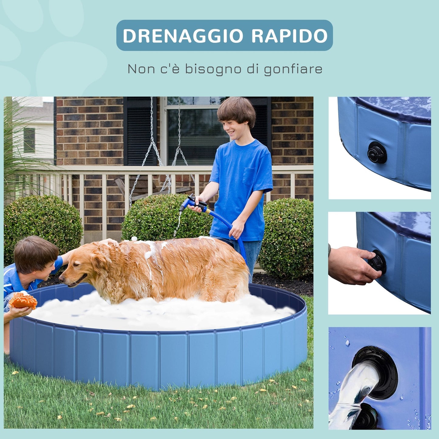 Folding Swimming Pool for Dogs in PVC | PAWHUT - Borgè