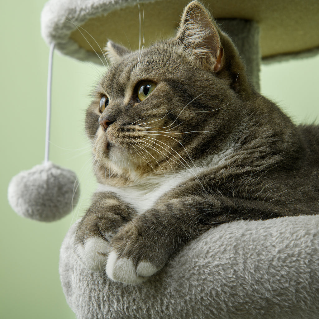 Cat Tree for cats with Scratch Pole i, 65x30x104 cm, light gray - Borgè