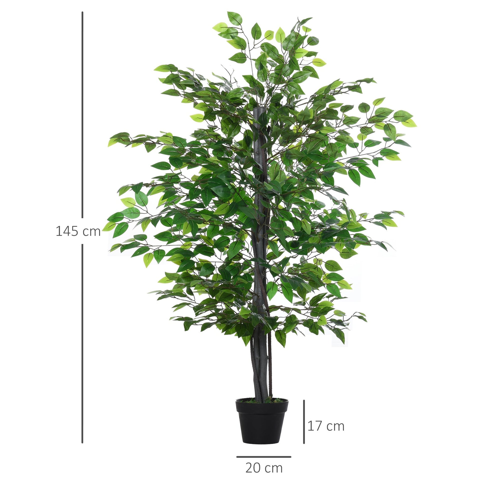 Banian Tree in a Pot 145cm - Borgè