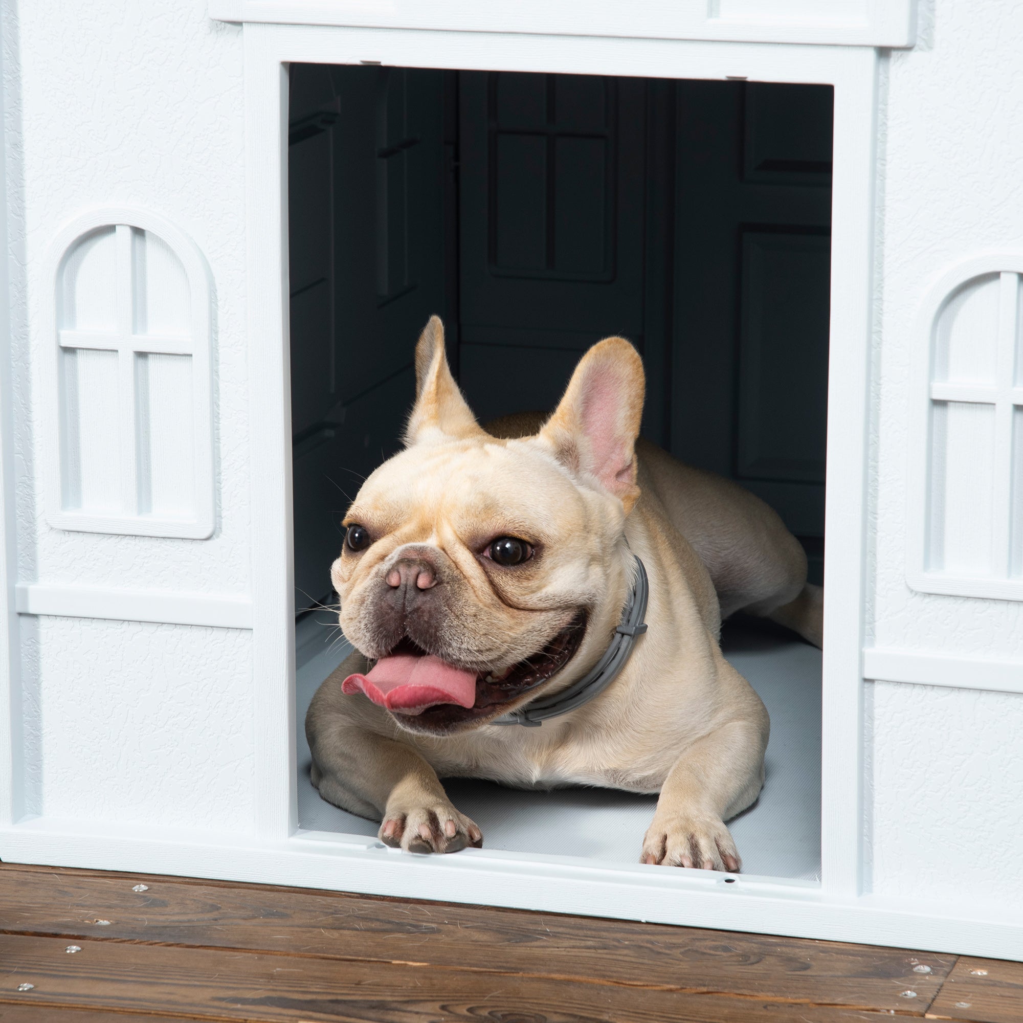 Pawhut for medium -sized dogs and small max 20kg in waterproof pp, 65x75.7x63 cm, blue - Borgè