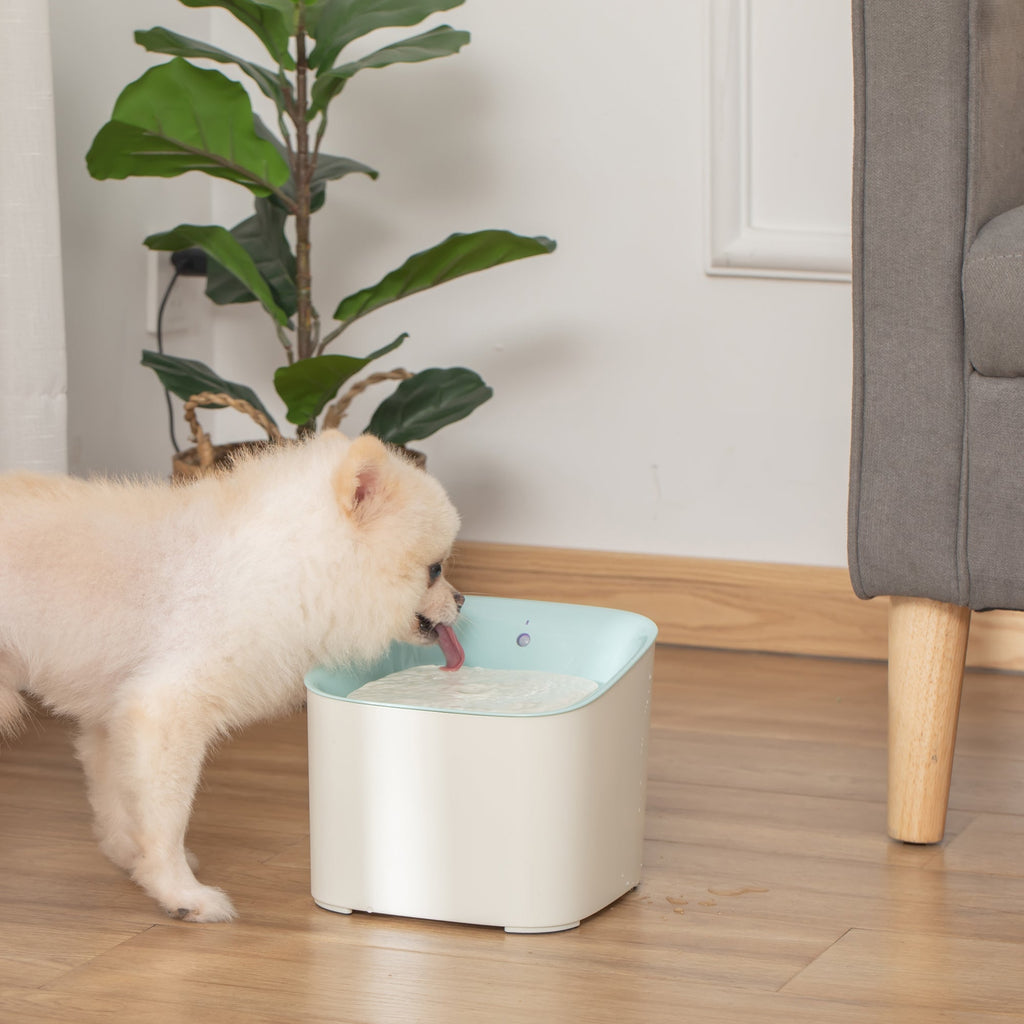 3L Cat and Dog Water Fountain with Carbon Filter, LED Light and Motion Sensor, White - Borge' Group Limited