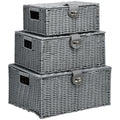 Set of 3 Grey Storage Boxes in with lid in different sizes - Borgè